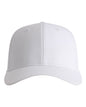 Imperial 7068 The Ironclad Recycled Perforated Cap
