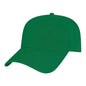 i1002-Kelly Green image
