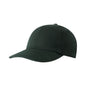 Imperial X210B The Original Buckle Dad Hat Additional image 22