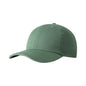 Imperial X210B The Original Buckle Dad Hat Additional image 33